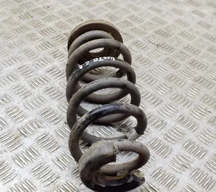 Volkswagen ID.3 Rear coil spring 1EA511103C