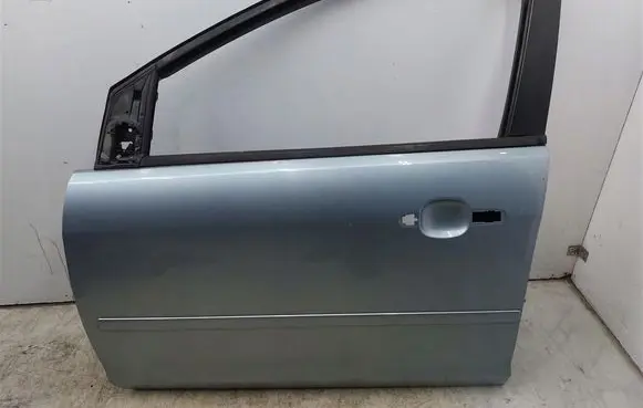 Ford Focus Front door 