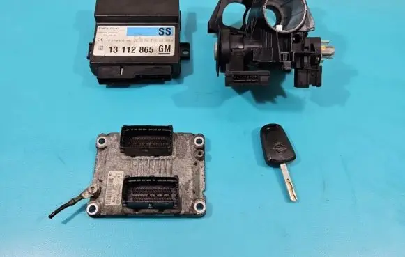Engine control unit/module ECU