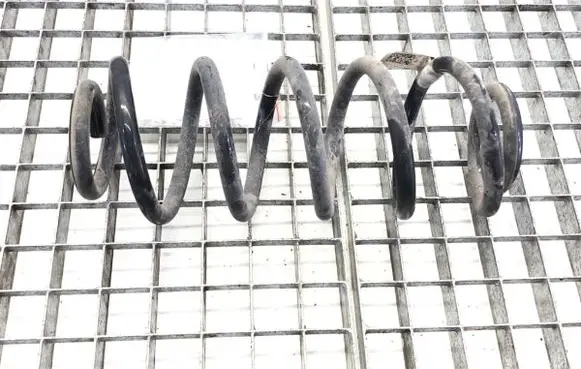 Rear coil spring