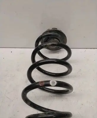 Nissan Juke I F15 Rear coil spring