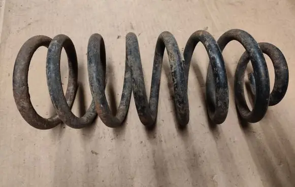 Rear coil spring