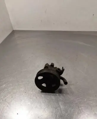 Hyundai Santa Fe Power steering pump