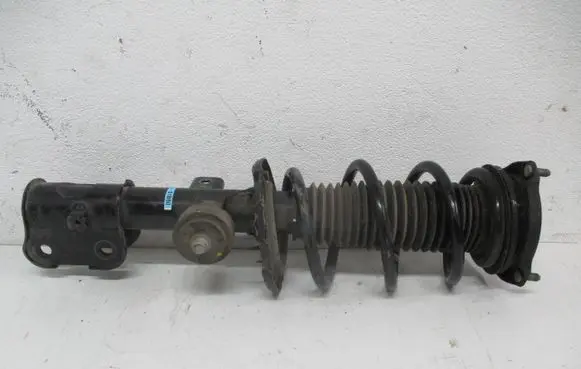 Hyundai Santa Fe Front shock absorber/damper 54651S1BB0
