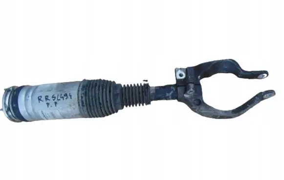Land Rover Range Rover Sport L494 Air suspension front shock absorber DPLA3C285AG