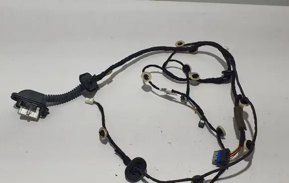 Renault Arkana Other wiring loom 241261344R