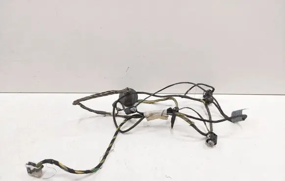 BMW 5 E39 Parking sensor (PDC) wiring loom 6920858 767641Z09 8377791