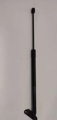 Tailgate strut