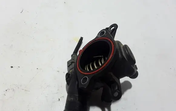 Dacia Lodgy Thermostat 110617069R