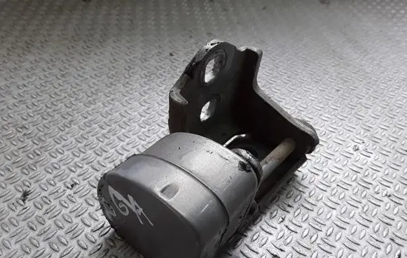 Renault Megane II Rear door lower hinge