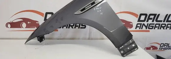 Fender