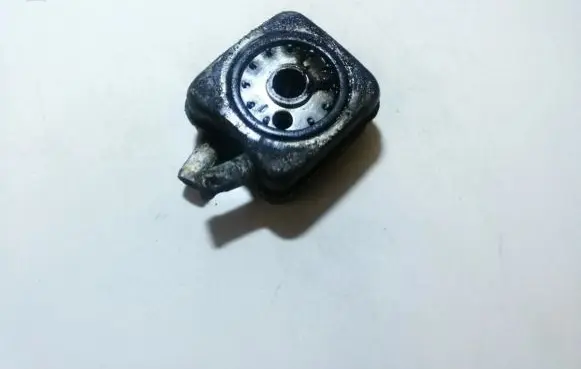 Audi A6 S6 C5 4B Engine oil radiator 