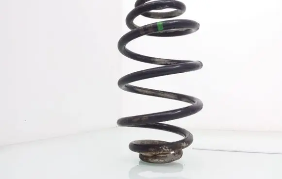 Volkswagen PASSAT B5 Rear coil spring