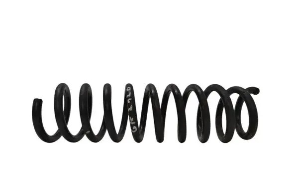 Rear coil spring