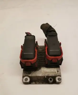 Engine control unit/module ECU