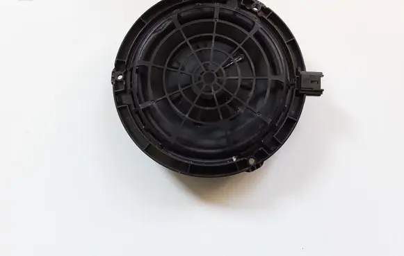 Citroen C3 Aircross Front door speaker 9806071080