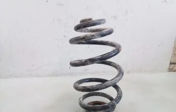 Volkswagen PASSAT B5.5 Rear coil spring
