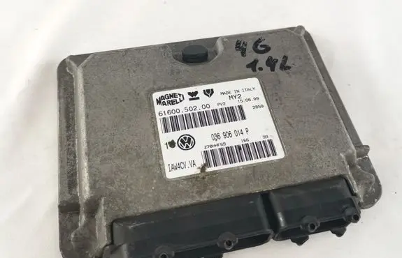 Volkswagen Golf IV Engine control unit/module 036906014P 6160050200