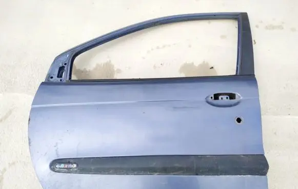 Renault Scenic I Front door melynos