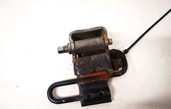 Rear door lower hinge