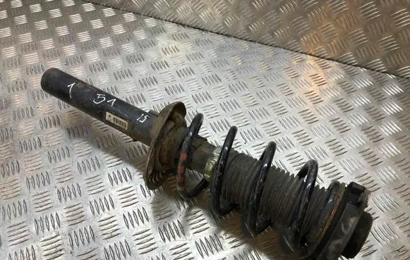 Volkswagen Golf V Front shock absorber/damper 1K0413031