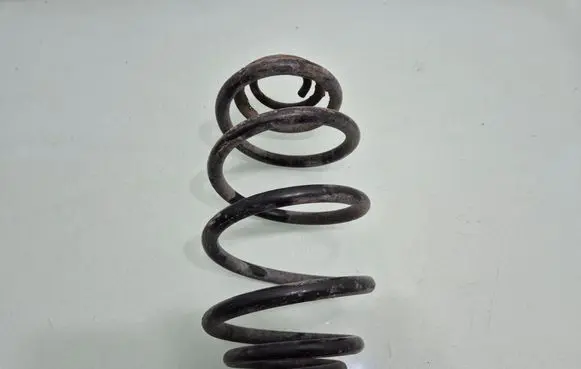 Rear coil spring