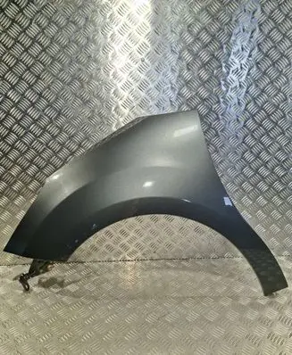 Citroen DS3 Fender