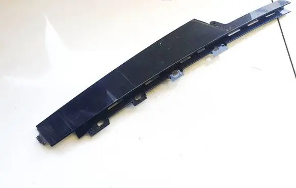 Other front door trim element