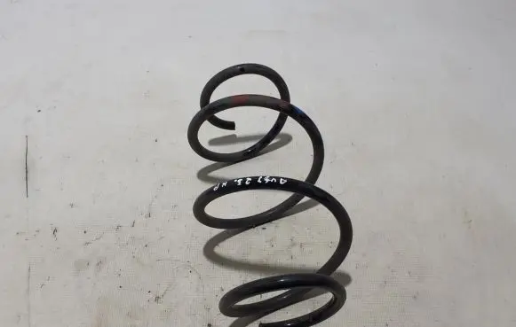 Front coil spring