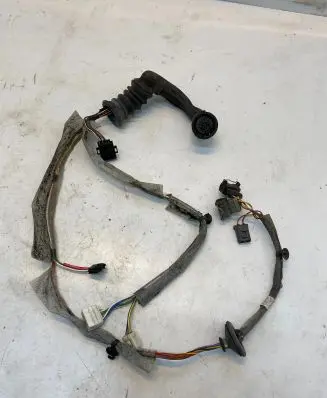 Front door wiring loom