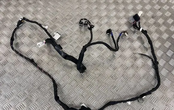 Rear door wiring loom