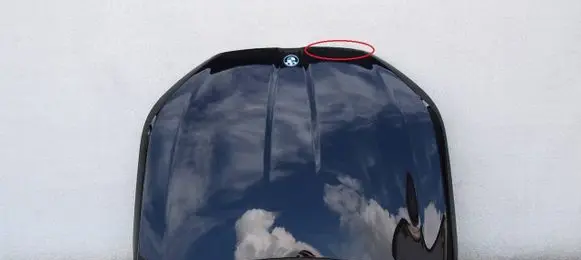 Engine bonnet/hood