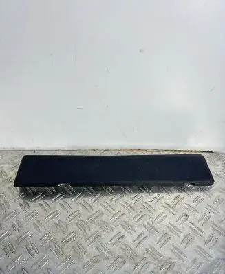 Tesla Model S Panel trim 100230101B
