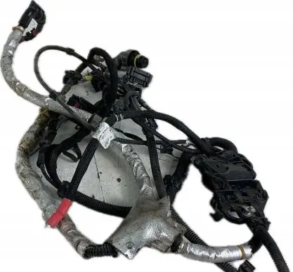 BMW 4 F32 F33 Other wiring loom 8638588