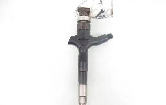 Opel Vectra C Fuel injector 0800