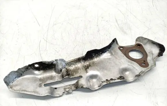 Exhaust heat shield