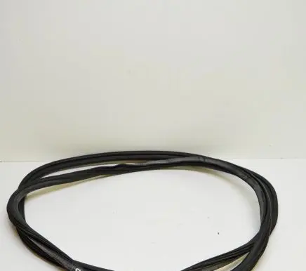 Audi Q5 SQ5 Rubber seal front coupe door 8R0831721D