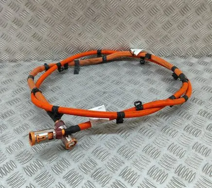 Mercedes-Benz EQS V297 Other wiring loom A2975405613
