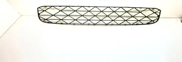 BMW X5 E70 Front bumper lower grill 51118038269 8038269