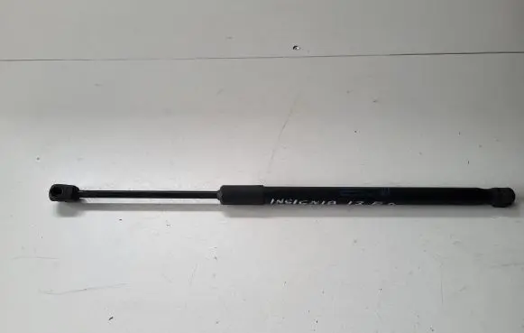 Opel Insignia B Front bonnet/hood damper/strut 39150008