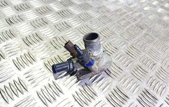 Thermostat/thermostat housing