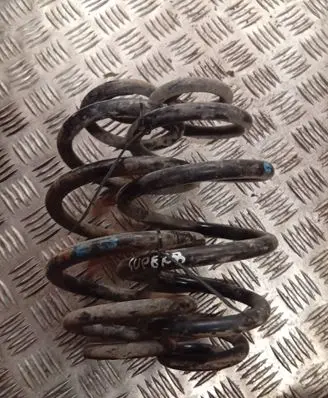 Rear coil spring