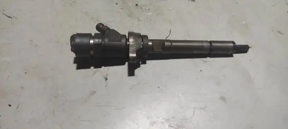 Citroen Berlingo Fuel injector 0445110239 30003