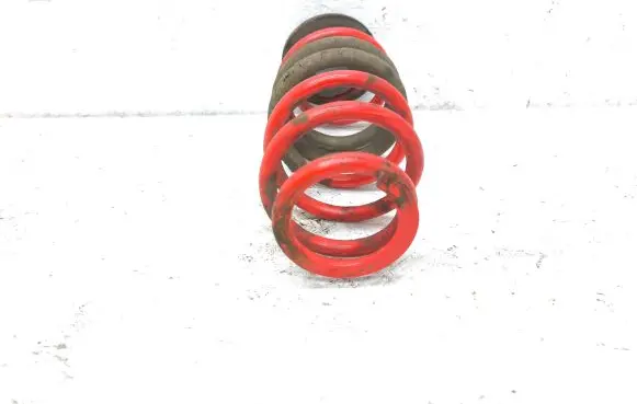 Volkswagen PASSAT B6 Rear coil spring