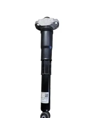 Volkswagen ID.4 Rear shock absorber/damper 1EA512013BD
