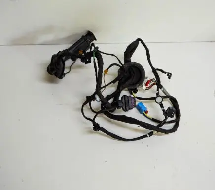 Audi A5 Other wiring loom 8W8971687E