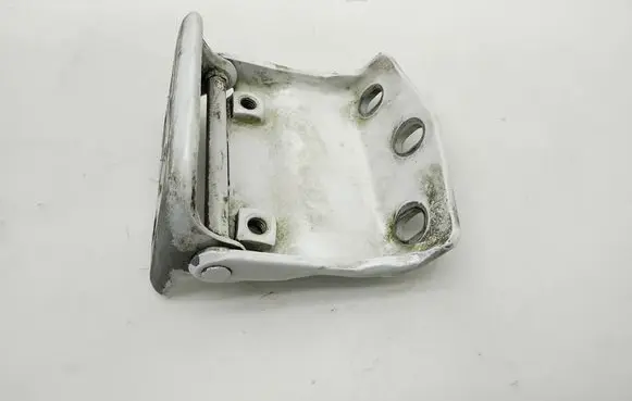 Tailgate/trunk/boot hinge
