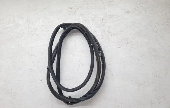 Seat Exeo (3R) Rubber seal rear door window/glass 
