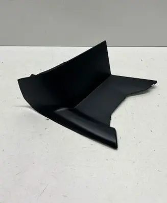 Rear/tail light trim molding