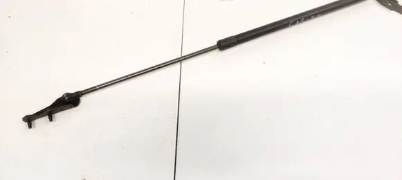 KIA Carnival Tailgate/trunk strut/damper